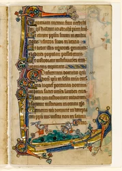 MS 1-2005, fol. 151r: Uma competição de cães e coelhos, decoração marginal do saltério de Macclesfield, uso de Sarum, East Anglia, c.1330