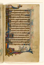 MS 1-2005, fol. 15r: Uma Lebre e um Cachorro tocando Órgão, decoração marginal do Saltério de Macclesfield, Uso de Sarum, East Anglia, c.1330
