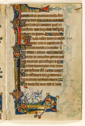 MS 1-2005, fol. 183r: Um homem andando de costas, decoração marginal do saltério de Macclesfield, uso de Sarum, East Anglia, c.1330