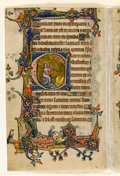 MS 1-2005, fol. 207v: Isaías orando, historiated inicial a partir do saltério de Macclesfield, uso de Sarum, East Anglia, c.1330