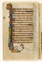MS 1-2005, fol. 47v: Uma decoração grotesca e marginal do Saltério de Macclesfield, Uso de Sarum, East Anglia, c.1330