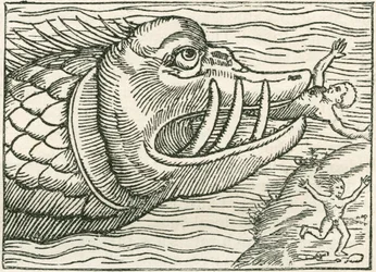 Homem a ser comido por uma serpente marinha. Ilustração encontrada na margem de um mapa elaborado por Olaus Magnus