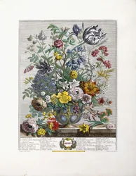 Maio de 1730
