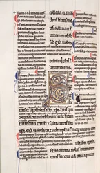 Sra. 27, f.109v: Página de uma cópia lustrada do Novo Testamento (vellum)
