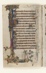 Ms 1-2005, f.175v, do Macclesfield Psalter, Use of Sarum, East Anglia, c.1330 (caneta & tinta e têmpera em velino)