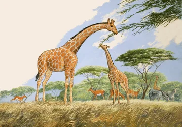País das maravilhas da natureza: High Tea for the Giraffe
