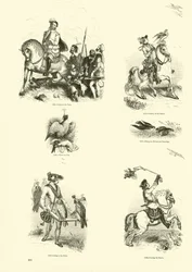 Página de The Pictorial Museum of Animated Nature