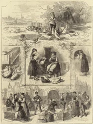 Patê de foie gras em Strasburg