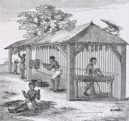 Preparando o tabaco, de "Santo Domingo Past and Present", de Samuel Hazard, pub. 1873