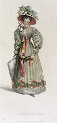 Vestido Promenade, placa de moda do Repositório de Artes da Ackermann