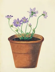 Flores roxas num vaso de terracota, cerca de 1825