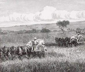 Reaping, Adelaide Sul, Austrália