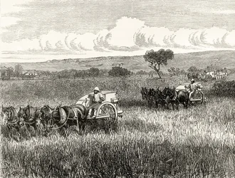 Colher em South Adelaide, c.1880, de &39;Australian Pictures&39;, de Howard Willoughby, publicado pela Religious Tract Society, Londres, 1886