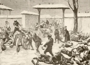 Recuperação dos mortos após o cerco de Plevna, Bulgária, em 1877 (litografia)