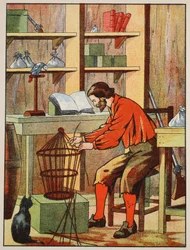 Robinson Crusoe fazendo uma gaiola para seu papagaio, ilustração da história de Robinson Crusoé: Uma adaptação para crianças seguindo a linguagem Defoes, pub. por Griffith Farran Browne & Co. Limited, Londres