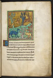 Royal 12 F.XIII, f.7 Um leopardo a perseguir um veado, com um camelo e outro animal. 

de Bestiary (ff. 3-141), Lapidary (ff. 141v-149) 2º quartel do século XIII