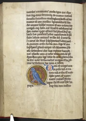 Royal MS 12 C XIX f.50v, Hoopoe, de 