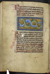 Royal MS 12 C XIX, f.63v Anguis, de "Bestiary", c.1200-10 (tinta, cor e ouro sobre velino)