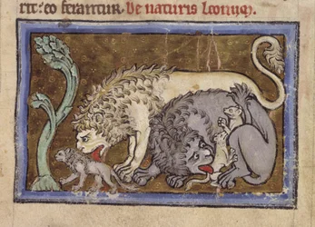 Royal MS 12 C XIX, f.6r Lions, de 