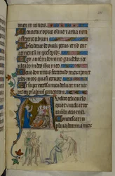 Royal MS 2 B VII f.288r, de The Queen Mary Psalter, c.1310-20 (vellum)