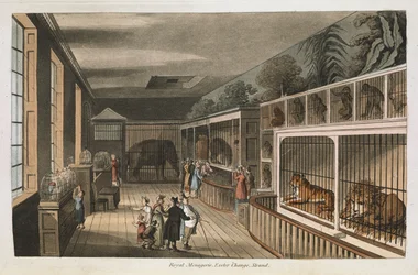 Royal menagerie, Exeter (Change Exchange), Strand.Select views of London : com esboços históricos e descritivos de alguns dos mais interessantes edifícios públicos / compilados e organizados por J.B. Papworth. John Buonarotti PapworthLondres