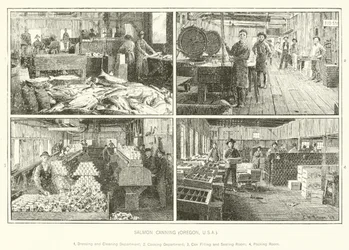 Salmão, canning, oregon, eua