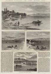 Pesca de salmão no rio Tay