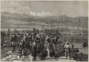 Pesca de sardinha na costa da Bretanha