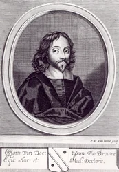 Sir Thomas Browne (1605-82), gravado por Frederick Hendrick van Hove (c.1628-98)