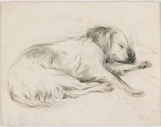 Cão Adormecido, c.1840 (grafite sobre papel)