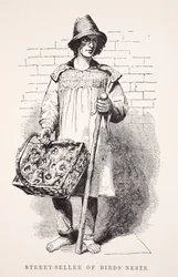 Vendedor ambulante dos ninhos dos pássaros, ilustração do trabalho de Londres e pobre de Londres por Henry Mayhew, bar. 1862