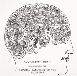 Cabeça simbólica mostrando a linguagem natural das faculdades