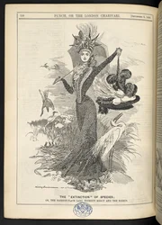 A "Extinção" da Espécie; ou, a senhora da moda sem piedade e as garças, de "Punch, ou o Charivari de Londres", 6 de Setembro de 1899 (gravura)
