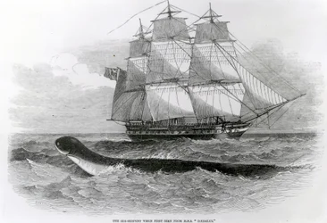 A Grande Serpente Marinha quando vista pela primeira vez a partir do HMS Daedalus