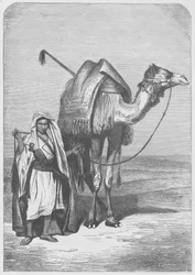 O navio do deserto