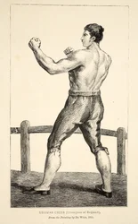 Thomas Cribb, campeão da Inglaterra, da pintura de De Wild