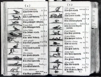 Duas páginas Mundial Sensualium Pictus Comenius, 1659