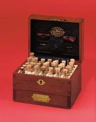 Caixa de remédios homeopática vitoriana produzida por James Epps & Co., meados do século 19 (mogno e latão)
