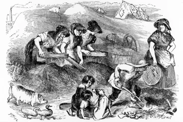 Vista, de, um, dust-yard, ilustração, de, &39;London, trabalho, e, a, londres, pobre&39;, por, Henry, Mayhew, c.1840s