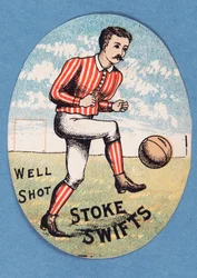 Bem tiro Stoke Swifts