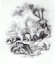 Animais Selvagens de &39;Uma História da Terra e Natureza Animada&39; de Oliver Goldsmith, Londres, 1840