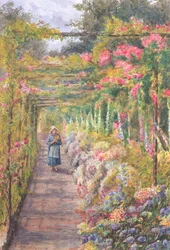Menina jovem, andar, sob, um, pérola rosa, (wc, ligado, paper)