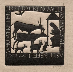 Animals All: Quem foram os primeiros a chorar Nowell?