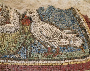 Uma pomba. Mosaico das casas da encosta em Éfeso, Turquia