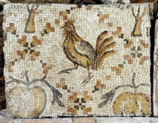 Um pato, pormenor do pavimento do banho de Tiberíades (mosaico)