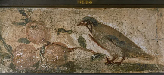 Pássaro e frutos de Pompeia, Itália (mural)