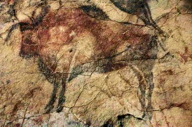 Bisonte. Pintura rupestre de Altamira, Santander, Espanha (pintura)