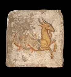 Capricórnio 244-245 CE ...