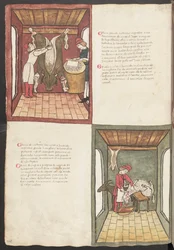 Página inteira: texto e miniaturas: " Carne grande nostrana ingrasata " (miniatura)