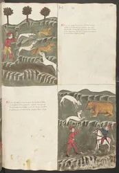 Página inteira: texto e miniaturas: "Carne le lepore" - caça à lebre e à raposa: " Carne de orso " - caça ao urso (miniatura)
